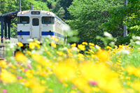 初夏の採銅所駅。