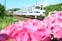 ６月。青空を駆け抜ける！