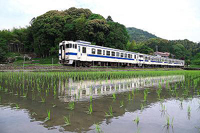 田植えの頃