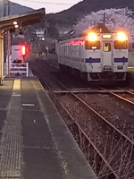 さくらの駅