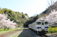 春の駅