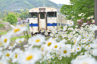 花のある風景