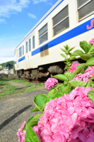 ６月を駆け抜ける！