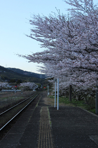 さくらの駅ホーム