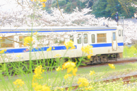 春爛漫～光溢れる採銅所駅にて