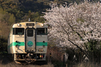 BRTひこぼしラインラッピング車