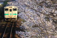 終着駅を目指して