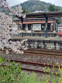 駅の春