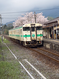 ラッピングトレイン