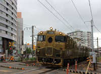 必ず気動車は通ります