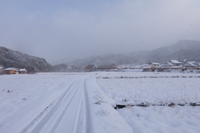 雪国のような風景