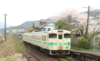 さくらの季節