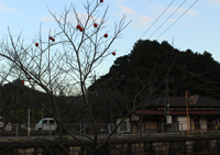 柿の駅