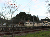 柿のある風景