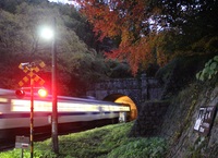 紅葉のトンネル