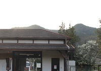 春の便り