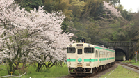 春のひたひこラッピングトレイン