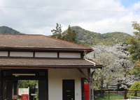 さくらと木造駅舎