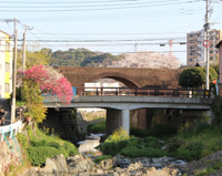 春のレンガ橋