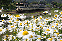 マーガレットの駅