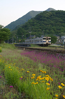 花の駅採銅所