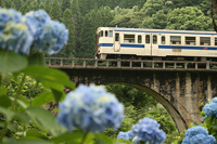 梅雨の中休み・・・