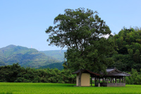 社のある風景