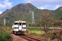 ”紅葉散歩”其の2