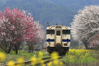 陽光うららかなる駅