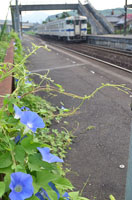 あさがおが迎える駅