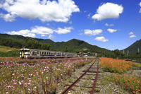 天高く花咲き乱れる駅