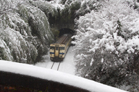 雪の金辺峠