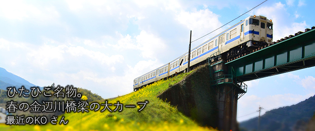 ひたひこウォーキングイメージ